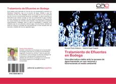 Bookcover of Tratamiento de Efluentes en Bodega