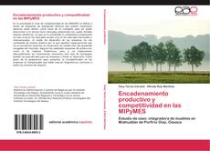 Bookcover of Encadenamiento productivo y competitividad en las MIPyMES