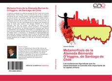 Buchcover von Metamorfosis de la Alameda Bernardo O’higgins, de Santiago de Chile