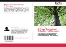 Capa do livro de A Fraga: Comunidad Virtual de Profesionales 