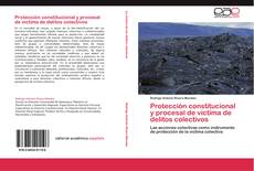 Capa do livro de Protección constitucional y procesal de víctima de delitos colectivos 