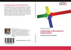 Liderazgo y Burnout en Enfermería kitap kapağı