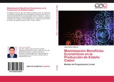 Buchcover von Maximización Beneficios Económicos en la Producción de Estaño Catavi