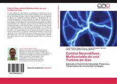 Control Neurodifuso Multivariable de una Turbina de Gas kitap kapağı