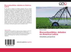 Bookcover of Biocombustibles: debates en América Latina