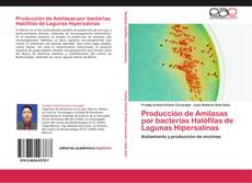 Portada del libro de Producción de Amilasas por bacterias Halófilas de Lagunas Hipersalinas