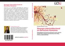 Capa do livro de Sinergia interinstitucional en Derechos Humanos 