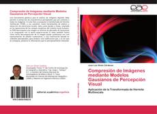 Обложка Compresión de Imágenes mediante Modelos Gausianos de Percepción Visual