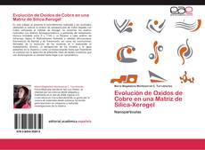 Bookcover of Evolución de Oxidos de Cobre en una Matriz de Silica-Xerogel