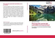 Bookcover of Percepción social del cannabis en la juventud