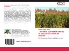 Capa do livro de Termitas subterráneas de la caña de azúcar en México 
