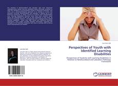 Perspectives of Youth with Identified Learning Disabilities的封面