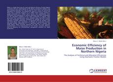 Copertina di Economic Efficiency of Maize Production in Northern Nigeria