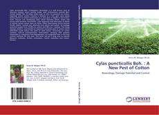 Portada del libro de Cylas puncticollis Boh. : A New Pest of Cotton