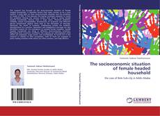 Bookcover of The socioeconomic situation of female headed household
