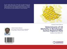 Determinants of U5 Mortality in Benshangul-Gumuz Regional State的封面