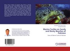 Capa do livro de Marine Turtles on Sandy and Rocky Beaches of Pakistan 