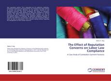 Buchcover von The Effect of Reputation Concerns on Labor Law Compliance