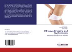 Ultrasound imaging and low back pain kitap kapağı