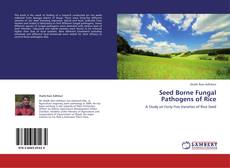 Couverture de Seed Borne Fungal Pathogens of Rice