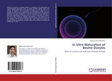 Bookcover of In Vitro Maturation of Bovine Oocytes