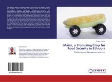 Capa do livro de Maize, a Promising Crop for Food Security in Ethiopia 