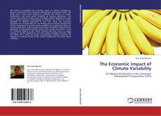 Portada del libro de The Economic Impact of Climate Variability