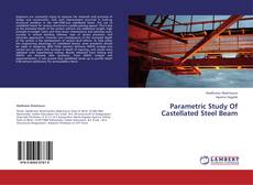 Parametric Study Of Castellated Steel Beam kitap kapağı