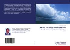 Buchcover von Micro Finance Interventions