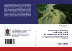 Assessment of Water Productivity and Socioeconomic Well-Being kitap kapağı