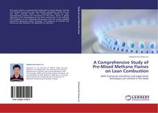 Capa do livro de A Comprehensive Study of Pre-Mixed Methane Flames on Lean Combustion 