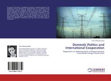 Capa do livro de Domestic Politics and International Cooperation 