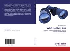 Buchcover von What the Brain Sees