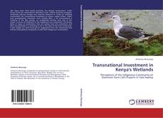 Buchcover von Transnational Investment in Kenya's Wetlands