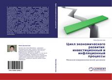 Bookcover of Цикл экономического развития: инвестиционный и инфляционный процессы