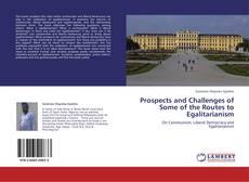 Prospects and Challenges of Some of the Routes to Egalitarianism kitap kapağı