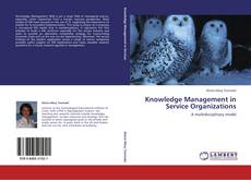 Knowledge Management in Service Organizations kitap kapağı