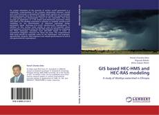 Buchcover von GIS based HEC-HMS and HEC-RAS modeling