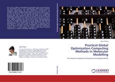 Capa do livro de Practical Global Optimization Computing Methods in Molecular Modelling 
