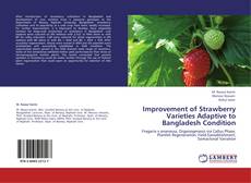 Bookcover of Improvement of Strawberry Varieties Adaptive to Bangladesh Condition