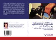 Portada del libro de Biodegradation of MTBE by Mycobacterium vaccae JOB5 and Graphium sp.