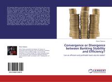 Convergence or Divergence between Banking Stability and Efficiency? kitap kapağı