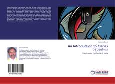 An Introduction to Clarias batrachus kitap kapağı