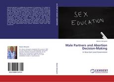 Capa do livro de Male Partners and Abortion Decision-Making 