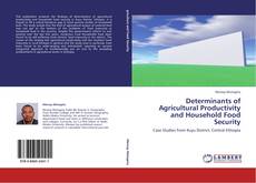 Couverture de Determinants of Agricultural Productivity and Household Food Security