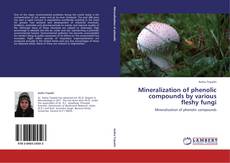 Copertina di Mineralization of phenolic compounds by various fleshy fungi
