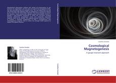 Bookcover of Cosmological Magnetogenesis