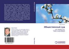 Buchcover von Общественный суд