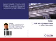CAMEL Ratings Application kitap kapağı