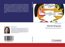 Bookcover of Marital Disputes